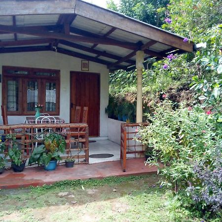 Ella J Villa المظهر الخارجي الصورة