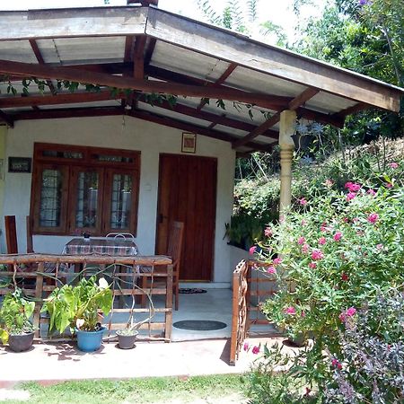 Ella J Villa المظهر الخارجي الصورة