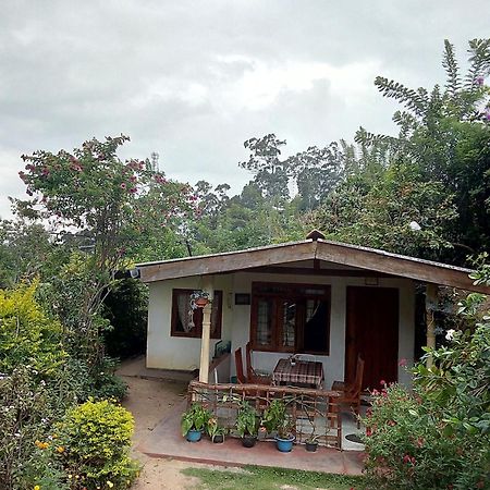 Ella J Villa المظهر الخارجي الصورة