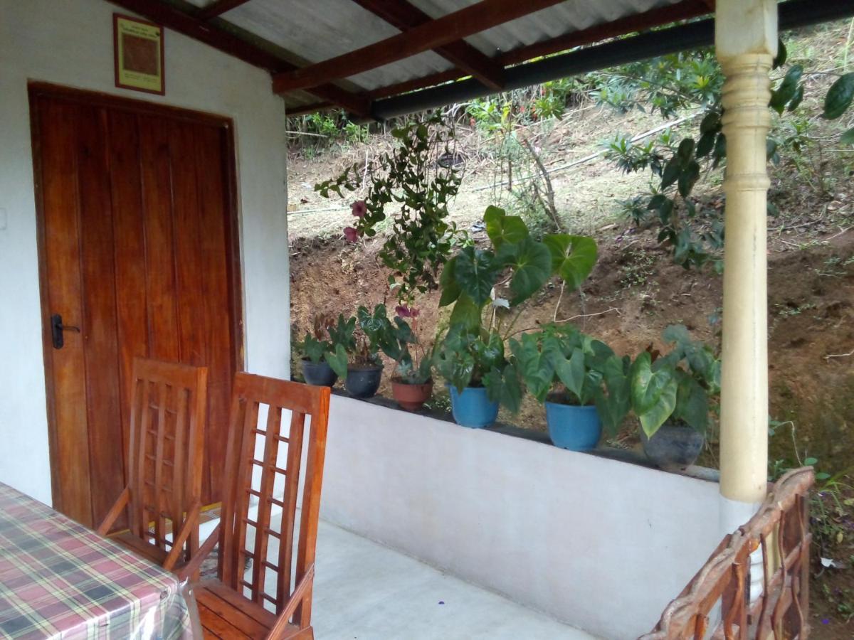 Ella J Villa المظهر الخارجي الصورة