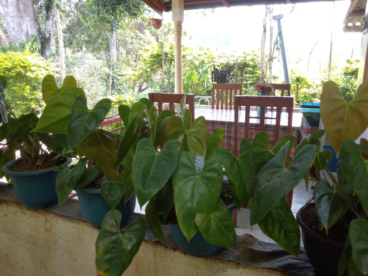 Ella J Villa المظهر الخارجي الصورة