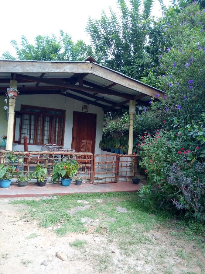 Ella J Villa المظهر الخارجي الصورة