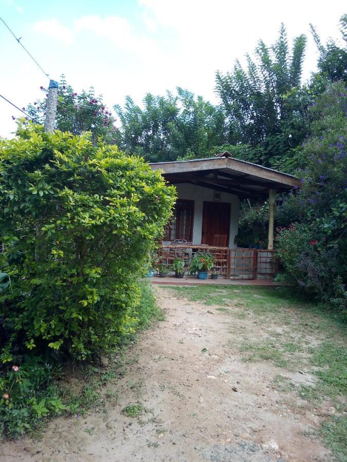 Ella J Villa المظهر الخارجي الصورة
