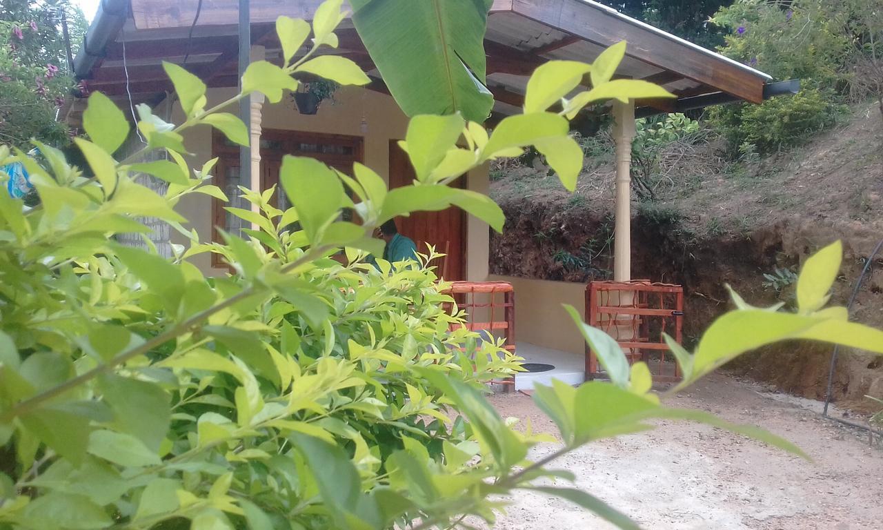 Ella J Villa المظهر الخارجي الصورة
