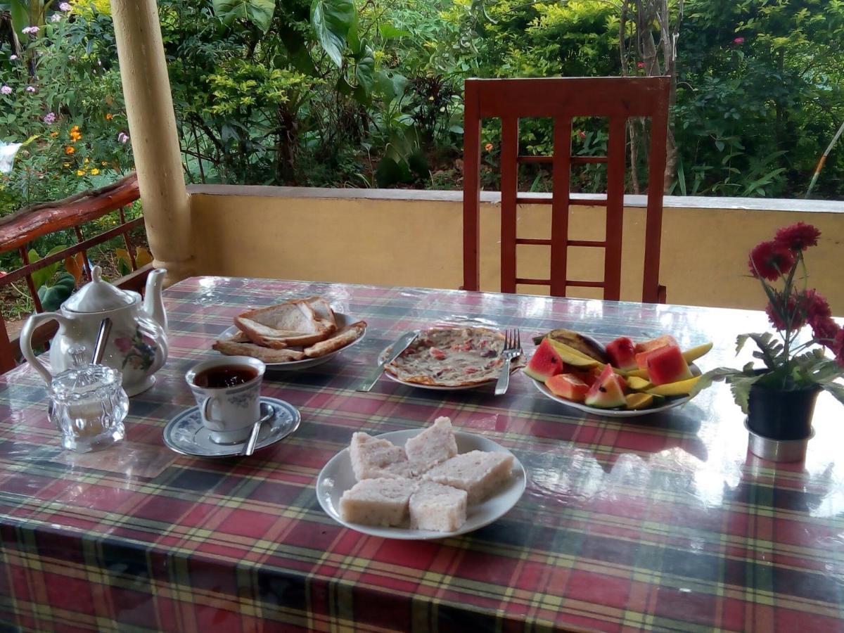 Ella J Villa المظهر الخارجي الصورة